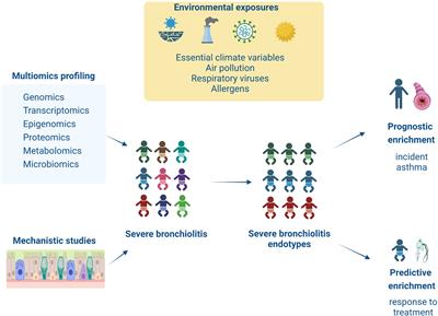 Editorial: Bridging the gap between immunology, virology, genetics, and epigenetics in bronchiolitis: The multiomics pathway to asthma development